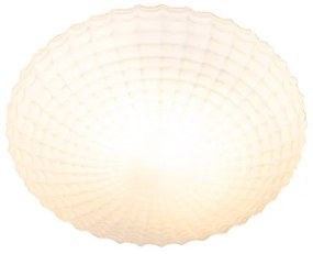 Класическа таванна лампа черна с опалово стъкло 23 см IP44 - Nohmi