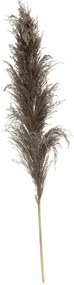 Изкуствено растение atmosphera Natural Pampa, 110см, 3бр, Кафяв