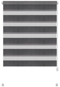 Тъмносива ролетна щора ден и нощ 42,5x150 cm Zebra – Gardinia