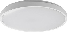 Rabalux Samira Вградени и повърхностно монтирани лампи IP44 LED 48W 4000 71259