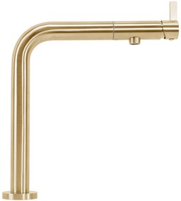 Смесител за кухня REA COLE Brush Gold
