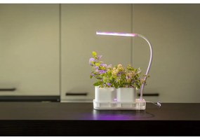 Метален разсадник за растения Lamp – Esschert Design