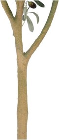 Изкуствено маслиново дърво (височина 112 cm) Olive Tree – Ixia