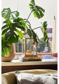 Керамични покрития за кашпи в комплект от 2 бр. ø 31 cm Vibe – Hübsch