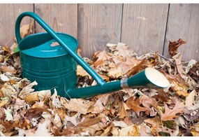 Листова метална лейка Fresh, 7,5 л - Esschert Design