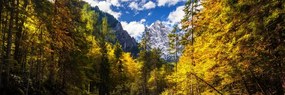 Картина на платно – Планински пейзаж