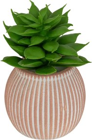 Изкуствено растение atmosphera Ubi Succulent, 7 cm, Различни видове