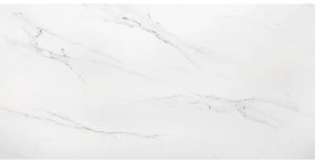 Плочка POLO CARRARA Mat Satine KARAG 60x120