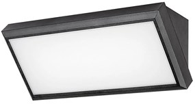 RABALUX 7282 Rapla външна лампа, IP54, 12W, 1000LM, LED 12W черен - 7282