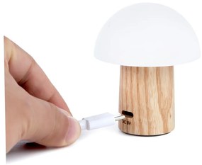 LED затъмняваща се настолна лампа от масивен ясен в естествен цвят (височина 7 cm) Alice – Gingko