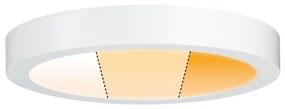 Paulmann 79799 - LED/19W Плафон CARPO 230V 2300/2500/3000K