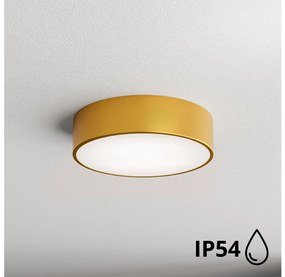 Brilagi - Плафон за баня CLARE 2xE27/24W/230V Ø 30 cm IP54 златист