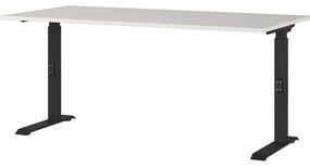 Работна маса с регулируема височина 80x160 cm Agenda – Germania