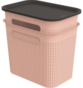 Светлорозови пластмасови кутии за съхранение в комплект от 2 бр. с капаци 18,5x27x26 cm Brisen – Rotho