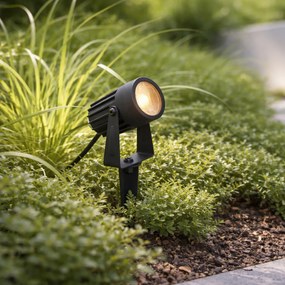 Модерен 12V прожектор черен вкл. LED IP67 - Voltaire Pico