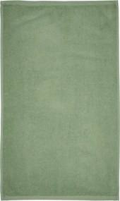 Зелена бързосъхнеща/от тери памучна кърпа 50x85 cm Quick Dry – Catherine Lansfield