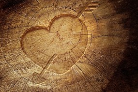 Картина на платно – Издълбано сърце на пън