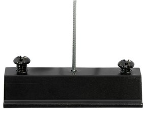 Модерна висяща релсова система за осветление с 6 черни прожектора 1-фазов GU10 50mm - Iconic Ruby Honey