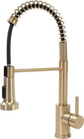 Смесител за кухня REA Colin Brush Gold