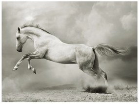 тапети - Wild Stallion 400x309