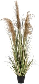 Изкуствено растение (височина 145 cm) Austorderia – Bizzotto