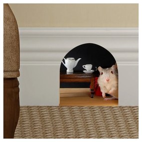 Стикер за миша дупка - Ambiance