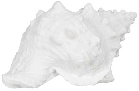 Статуя от полиресин (височина 12 cm) Seashell – Ixia