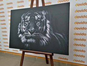 Картина на платно – Тигър в черно-бял вариант