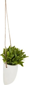 Изкуствено растение atmosphera Hanging, 20 cm, Различни видове