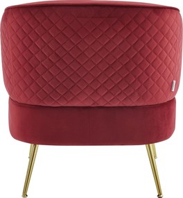 Фотьойл Vyragosa-Червено