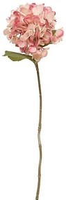 Декоративно стъбло хортензия atmosphera Fria, Асорти, 62 cm