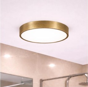 Brilagi - LED плафон за баня POOL LED/24W/230V Ø 30 см IP54 месинг