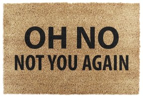 Изтривалка от кокосови влакна 40x60 cm Not You Again – Artsy Doormats