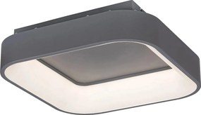 Rabalux Adeline Таванно осветление (плафони) IP20 LED 28W 3000-6000K 3926