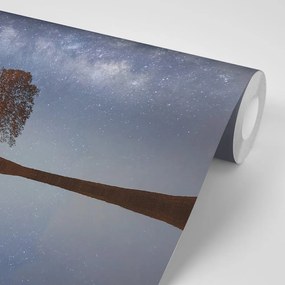 Фототапет – Звездно небе над самотно дърво