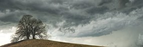 Картина на платно – Самотни дървета