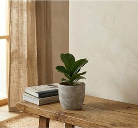 Теракотена саксия за цветя ø 16,5 cm Hector – Bizzotto