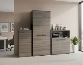 Кабинет Aeris-Mauro-Kafe skouro