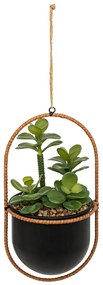 Изкуствено растение atmosphera Tyla Hanging, 31 cm