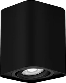 Rabalux Kobald Вградени и повърхностно монтирани лампи IP20 GU10 1x MAX 42W K 2049