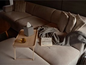 Пластмасова кутия за носни кърпички Ume – Zone