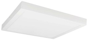 LED Плафониера FENIX LED/32W/230V 3800K 40 см снежнобял