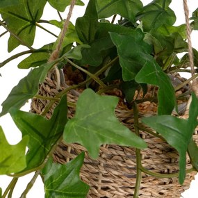 Изкуствени растения в комплект от 2 бр. (височина 50 cm) – Casa Selección