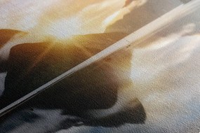 Картина на платно – Красив изгрев на Нова Зеландия
