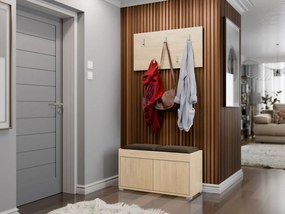 Мебели за антре Gesita