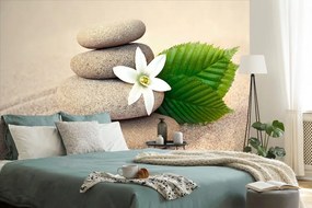 Фототапет – Бяло цвете и камъни в пясък