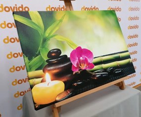 Картина на платно – Фън Шуй хармония