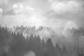 Фототапет – Черно-бяла мъгла над гора