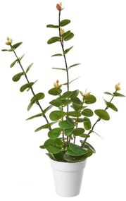 Изкуствено цвете - Casa Selección