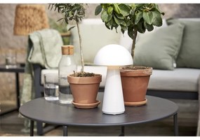 Бяла LED настолна лампа с възможност за димиране (височина 28 cm) Mushroom - Star Trading